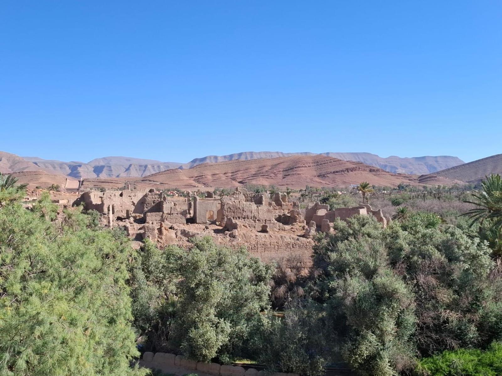 مبيت وإفطار Tazouka Oasis Travel المظهر الخارجي الصورة
